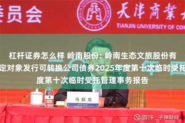 杠杆证券怎么样 岭南股份: 岭南生态文旅股份有限公司向不特定对象发行可转换公司债券2025年度第十次临时受托管理事务报告