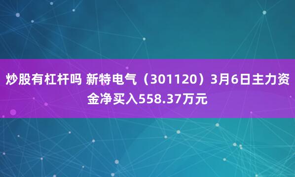炒股有杠杆吗 新特电气（301120）3月6日主力资金净买入558.37万元