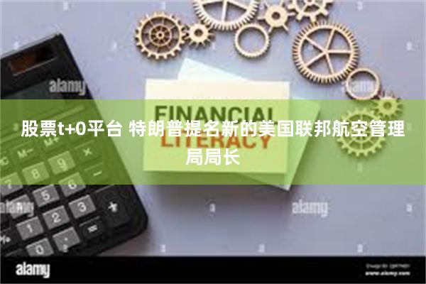 股票t+0平台 特朗普提名新的美国联邦航空管理局局长