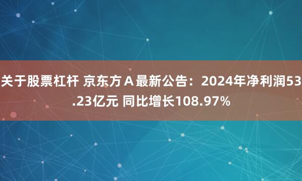 关于股票杠杆 京东方Ａ最新公告：2024年净利润53.23亿元 同比增长108.97%