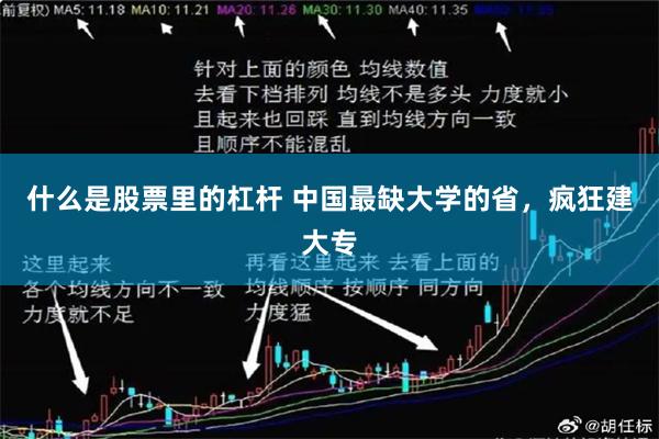 什么是股票里的杠杆 中国最缺大学的省，疯狂建大专