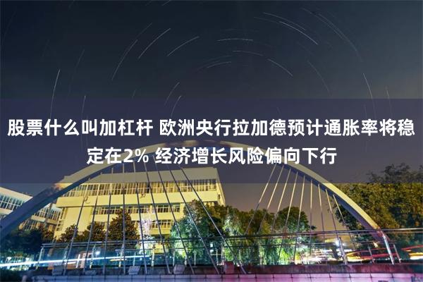 股票什么叫加杠杆 欧洲央行拉加德预计通胀率将稳定在2% 经济增长风险偏向下行