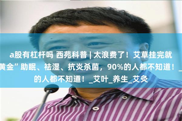 a股有杠杆吗 西苑科普 | 太浪费了！艾草挂完就扔？这捆“草中黄金”助眠、祛湿、抗炎杀菌，90%的人都不知道！_艾叶_养生_艾灸