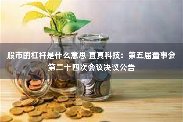 股市的杠杆是什么意思 直真科技：第五届董事会第二十四次会议决议公告